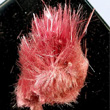 Fibrous Erythrite Hairs