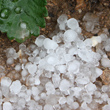 Balls of Hail