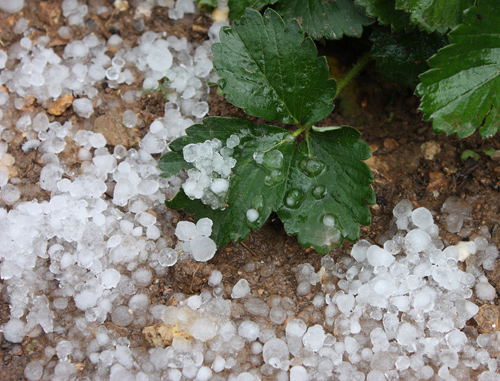 Balls of Hail