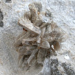 Howlite Crystals Close-up