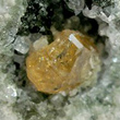 Yellow Humite in Matrix - Zoomed