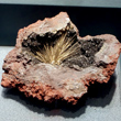 Millerite with Hematite