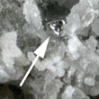 Small Native Tellurium Crystal on Quartz