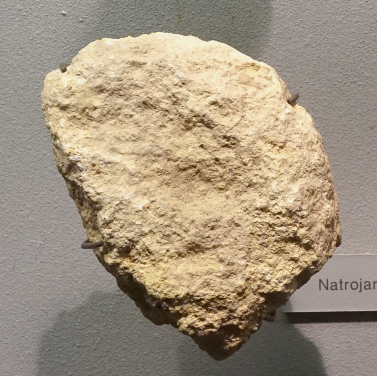 Massive Natrojarosite