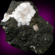 Natrolite Amygdule in Basalt