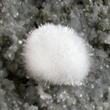 Rounded Acicular Natrolite Spray