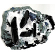 Neptunite with Benitoite