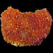 Velvety Orpiment Plate