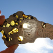 Pallasite Meteorite
