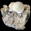 Pectolite Ball Formation