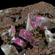 Purple Cobaltoadamite