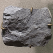 Massive Rammeslbergite