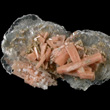 Serandite with Polylithionite