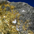 Sperrylite Crystals in Chalcopyrite