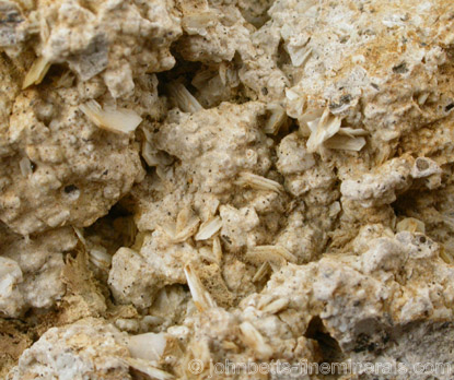 Zoomed View of Thin Tridymite Crystals