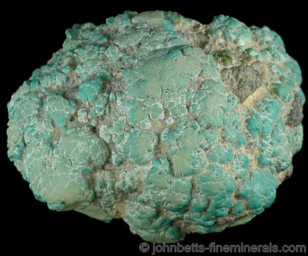 Reniform Turquoise Nodule