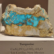 Splotched Turquoise Vein