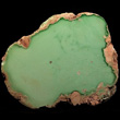 Solid Green Variscite Nodule