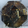 Octagonal Vesuviante Crystal