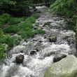 Flowing Stream