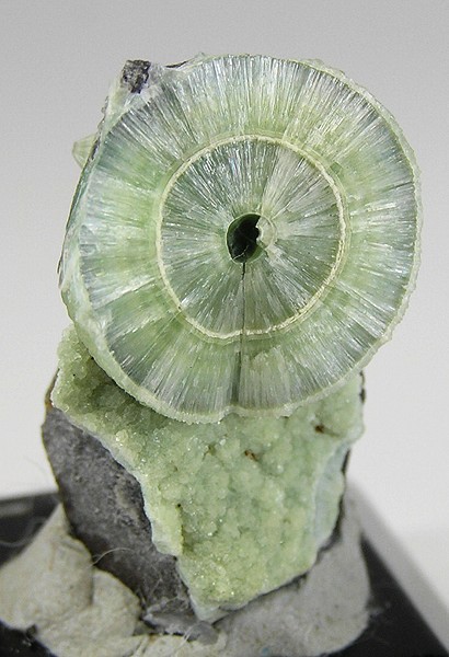 Concentric Radial Wavellite