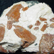 Willemite Crystals in Calcite