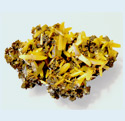 Wulfenite