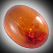 Amber with Insect Inclusion