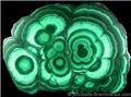 Concentric Malachite Slab from Mashamba Mine, Shaba Copper Belt, Democratic Republic of the Congo (Zaire).