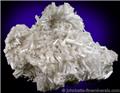 White Cerussite Cluster from Flux Mine, Patagonia, Santa Cruz County, Arizona.