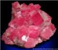 Rhodochrosite on Quartz from Sweet Home Mine, Buckskin Gulch, Alma District, Park County, Colorado.