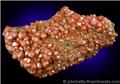 Terminated Vanadinite Cluster from J.C. Holmes Claim, Patagonia, Santa Cruz County, Arizona.