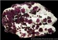 Purple Fluorite on Quartz from Judith Lynn Claim, Pine Canyon, Grant County, New Mexico.