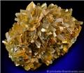 Golden Brown Barite from Villamassargia, Carbonia-Iglesias, Sardinia, Italy