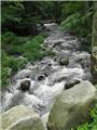 Flowing Stream from Queensboro Brook, Harriman State Park, Orange Co., New York