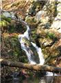 Small Waterfalls from Havemeyer Falls, Mianus River Gorge, Bedford, Westchester Co., New York