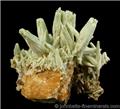 Pyromorphite Sprays from Midnight Mine, Coeur d'Alene District, Shoshone County, Idaho