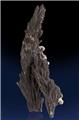 Arborescent Alabandite Crystals from Zinc Corporation Mine, Broken Hill, Yancowinna County, New South Wales, Australia