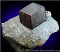 Almandine in Schist Matrix from Oetztal, Tirol, Austria