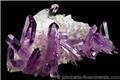 Veracruz Amethyst from Piedra Parada, Las Vigas de Ramirez, Veracruz, Mexico