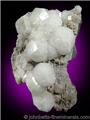 Analcime Crystal Cluster from Upper New Street Quarry, Paterson, Passaic County, New Jersey