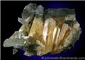 Golden Anglesite Crystals in Vein from Touissit Mine, Oujda, Morocco