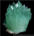 Green Apophyllite Spray from Pashan Hill Quarry, Poona District, Maharashtra, India