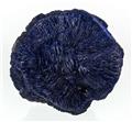 Intergrown Azurite Rosettes from 5.3 x 5.0 x 4.0 cm.