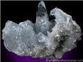 Large Blue Celestine Crystal - The Mineral and Gemstone Kingdom