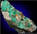 Brochantite on Matrix from Blanchard Mine, Hansonburg District, Socorro County, New Mexico (Type Locality for Blanchardite)
