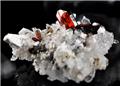 Sharp Brookite on Quartz from Kharan District, Baluchistan, Pakistan