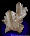 Lustrous Arizona Cerussite Crystals from Mammoth-St. Anthony Mine, Tiger, Pinal County, Arizona