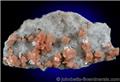 Deep Orange-Pink Chabazite from New Street Quarry, Paterson, Passaic County, New Jersey