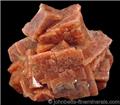 Orange Chabazite Group from Wasson's Bluff, Nova Scotia, Canada